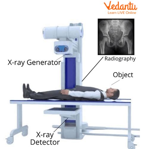 хентай x ray